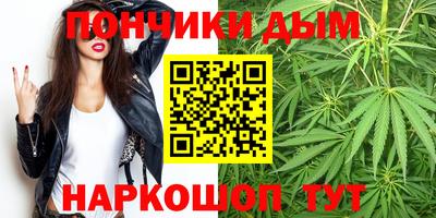 сатива Краснознаменск
