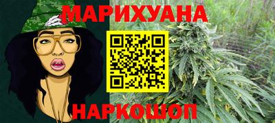 сатива Краснознаменск